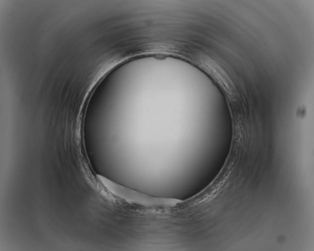 X0000097860900200803281309