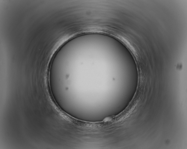 X0000097860901200803281309