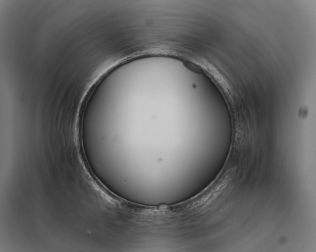 X0000097860902200803281309