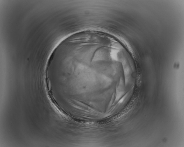 X0000097860903200803281309