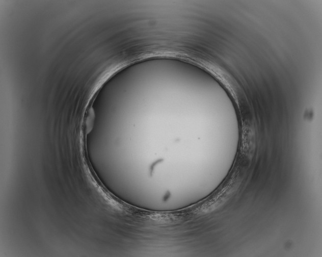 X0000097860906200803281309