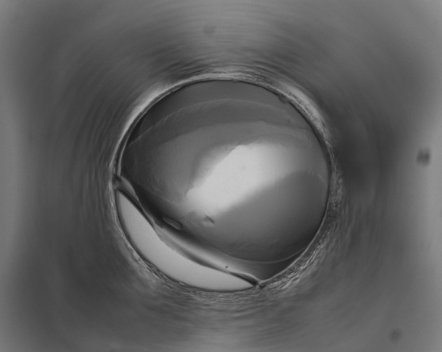 X0000097860907200803281309