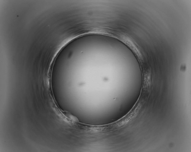 X0000097860908200803281309