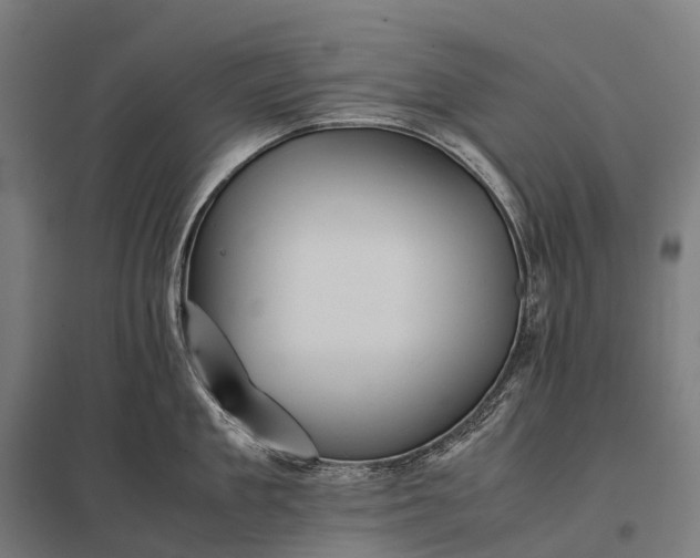 X0000097860909200803281309