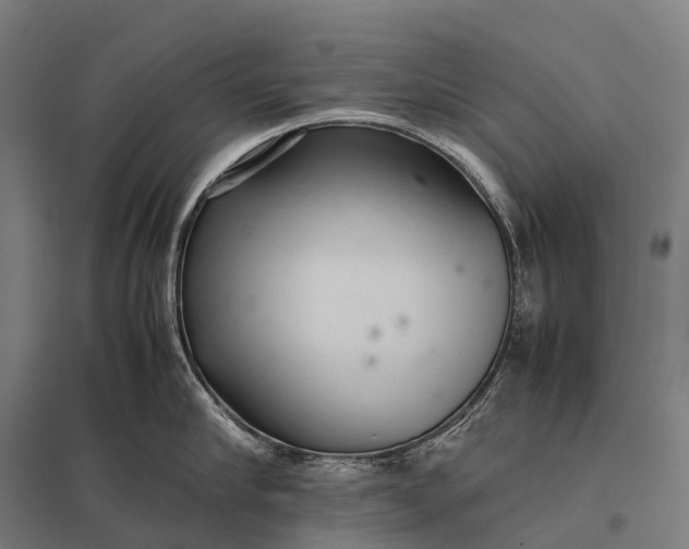 X0000097860910200803281309