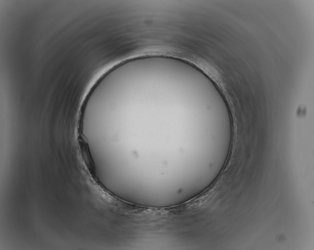 X0000097860912200803281309