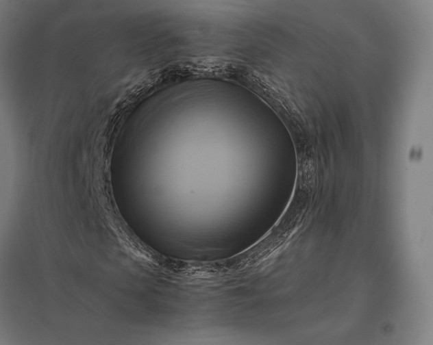 X0000097860913200803281308