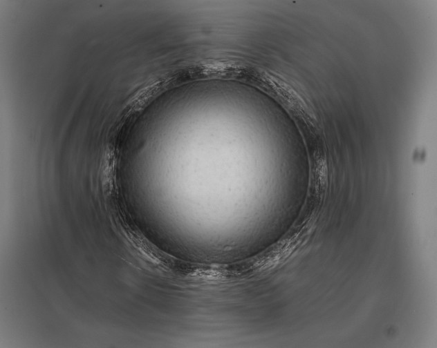 X0000097860914200803281308