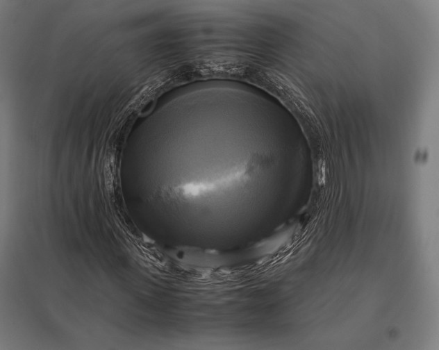 X0000097860915200803281308