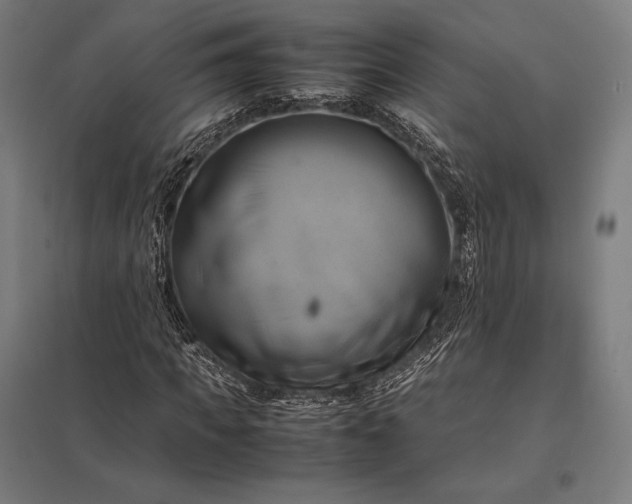 X0000097860917200803281308