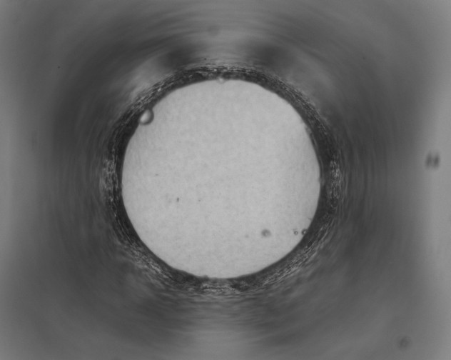 X0000097860918200803281308