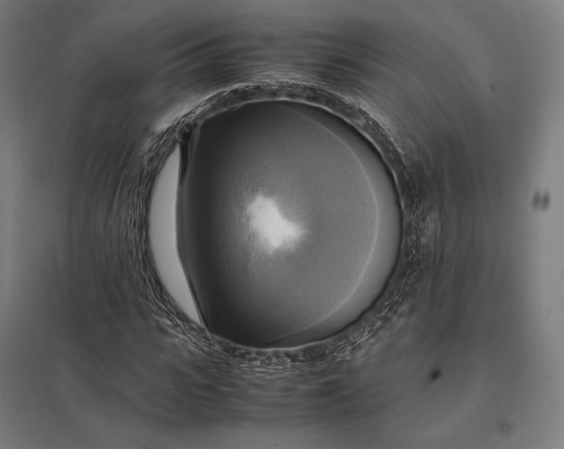 X0000097860919200803281308