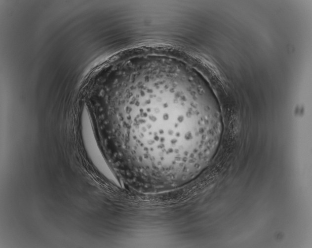 X0000097860920200803281308