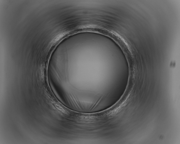 X0000097860921200803281308