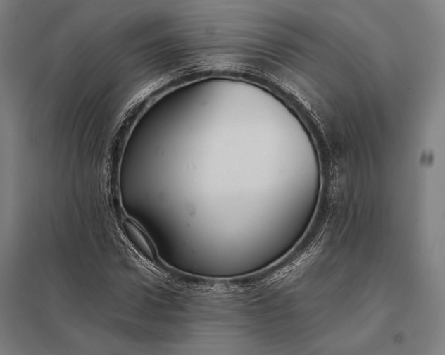 X0000097860922200803281308