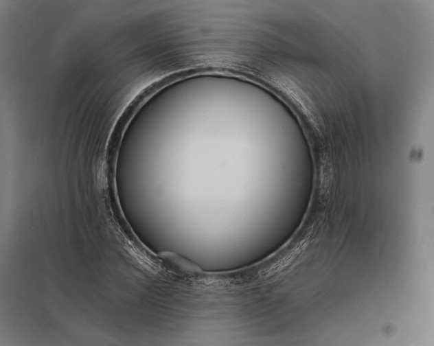 X0000097860924200803281308