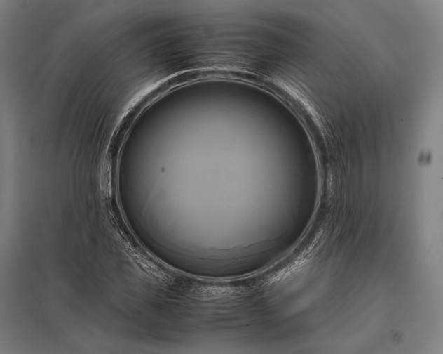 X0000097860925200803281308