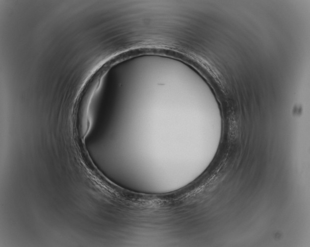 X0000097860926200803281308