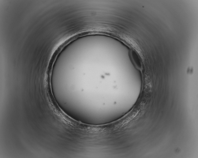 X0000097860928200803281308