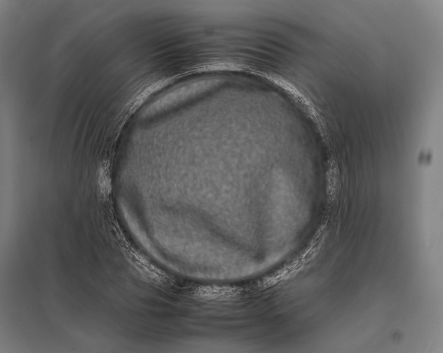 X0000097860929200803281308