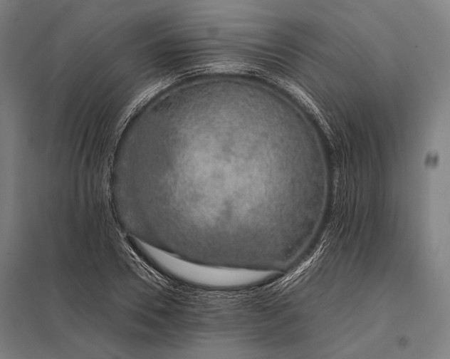 X0000097860930200803281308