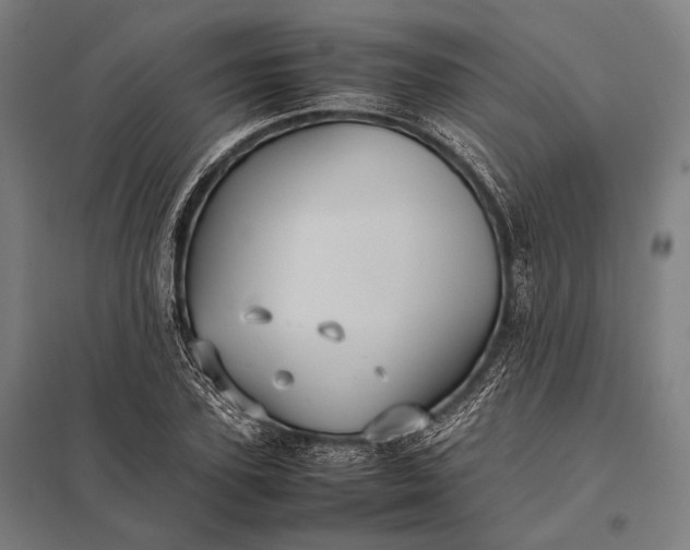 X0000097860931200803281308