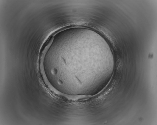 X0000097860932200803281308