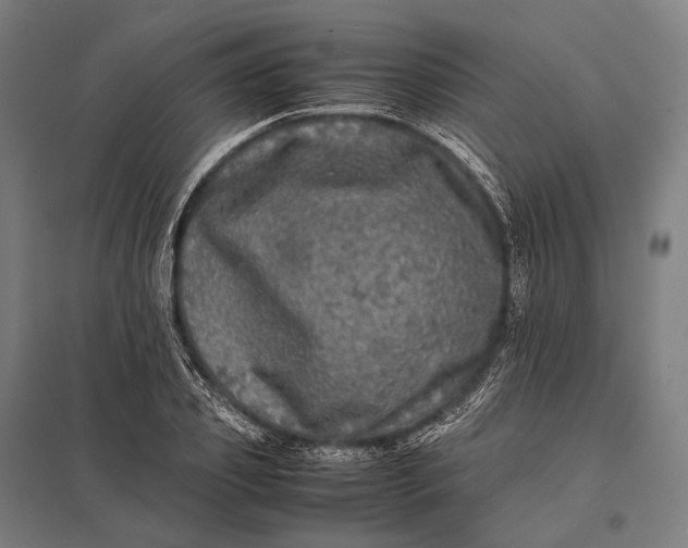 X0000097860933200803281309