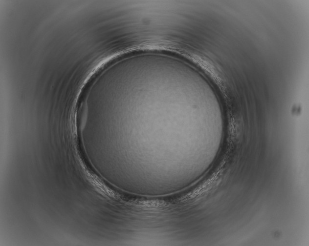 X0000097860934200803281309