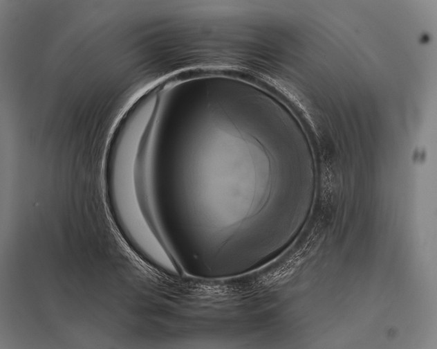 X0000097860935200803281309