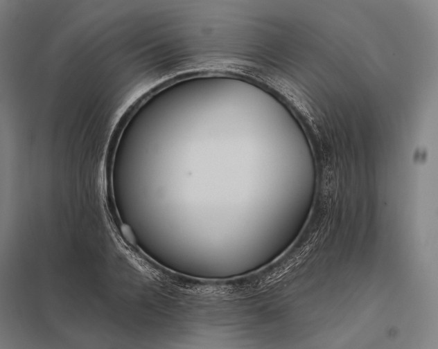 X0000097860936200803281309