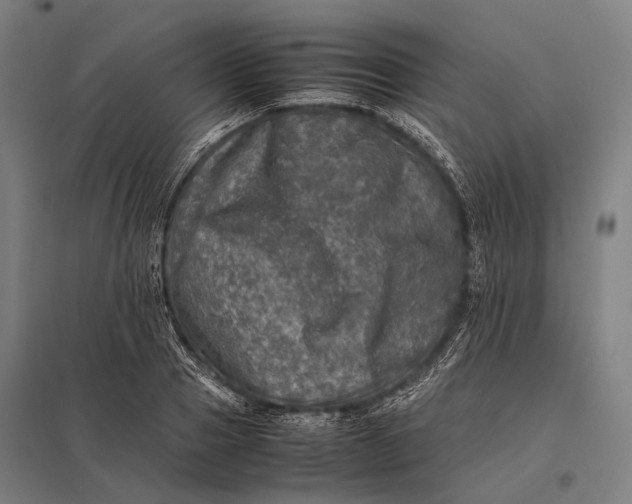 X0000097860937200803281309