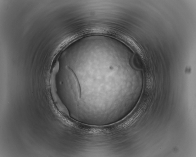 X0000097860938200803281309