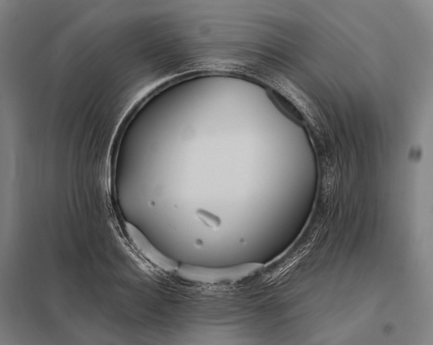 X0000097860940200803281309