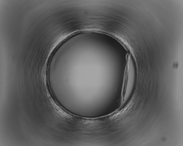 X0000097860941200803281309