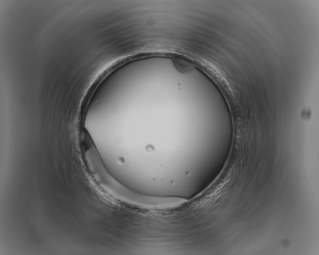 X0000097860942200803281309