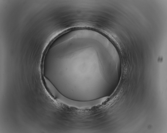 X0000097860943200803281309