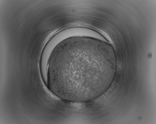 X0000097860946200803281309