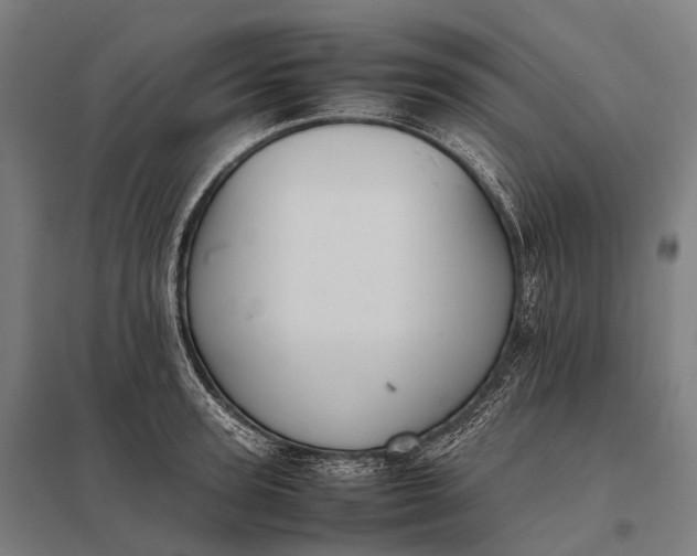 X0000097860947200803281309