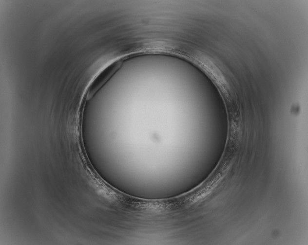 X0000097860948200803281309