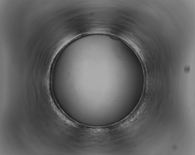 X0000097860949200803281309