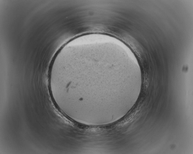 X0000097860950200803281309