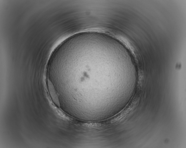 X0000097860952200803281309