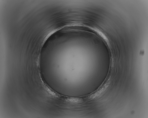 X0000097860953200803281309