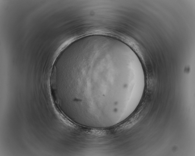 X0000097860954200803281309