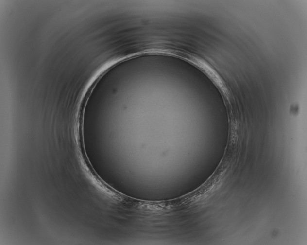 X0000097860955200803281309