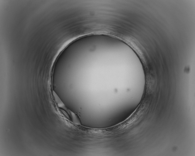 X0000097860956200803281309