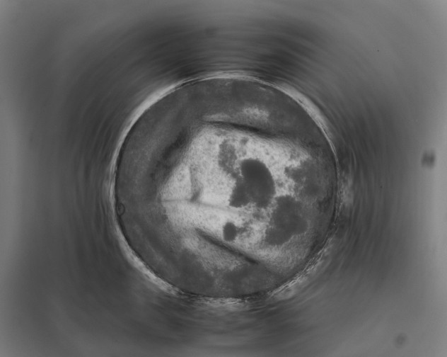 X0000097860957200803281309