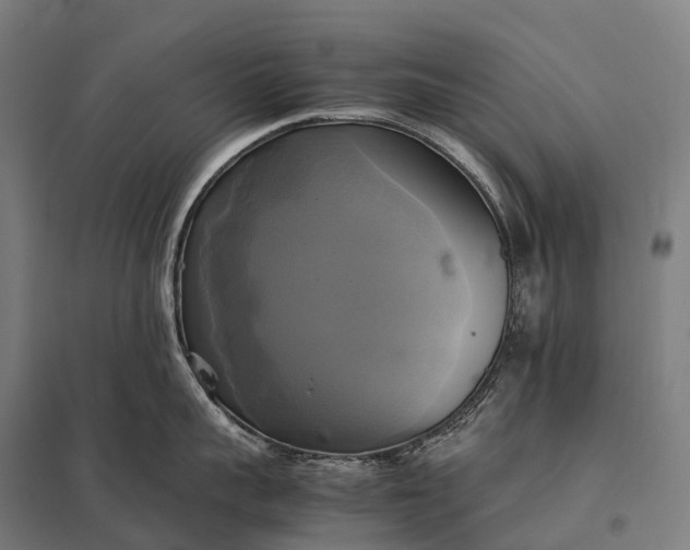 X0000097860959200803281309