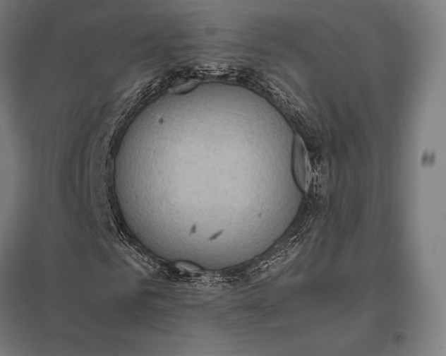 X0000097860961200803281308